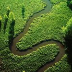 Turismo de humedales: destinos naturales no masivos que deberías conocer